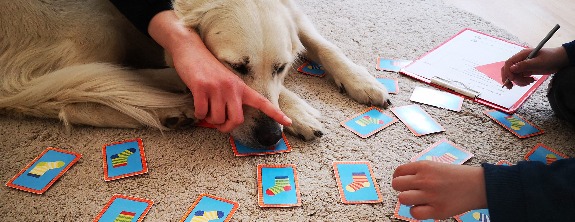 Tiergestützte Förderung